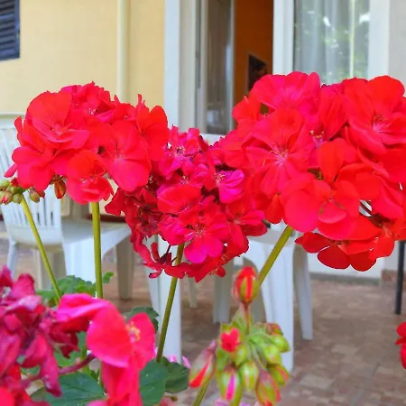 Girasole * Rovinj